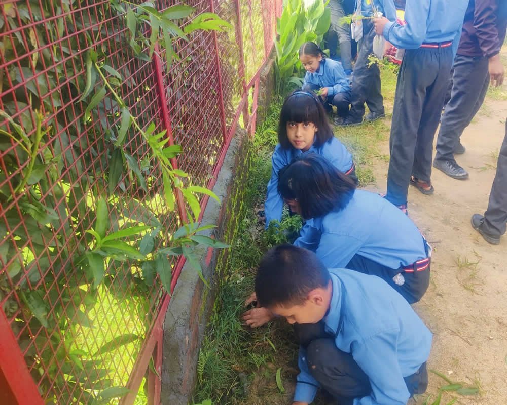 Plantation